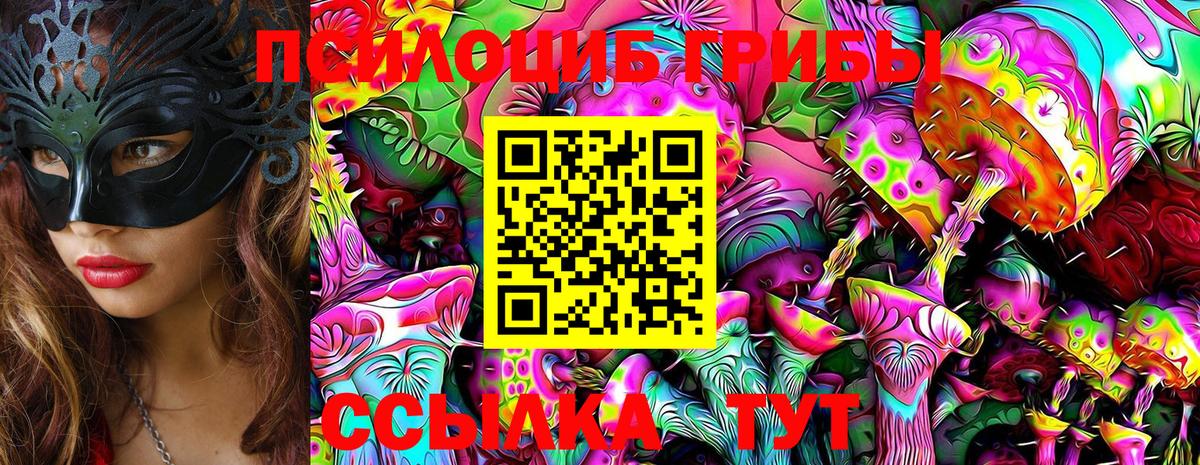 Псилоцибиновые грибы Psilocybe Назрань
